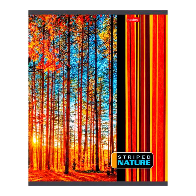 Тетрадь в линейку Hatber A5, 96 листов, разноцветный Тетрадь в линейку Hatber A5, 96 листов, разноцветный