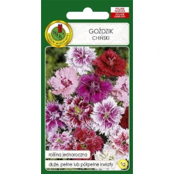 Семена цветов PNOS Gozdzik Chinski, 1 г