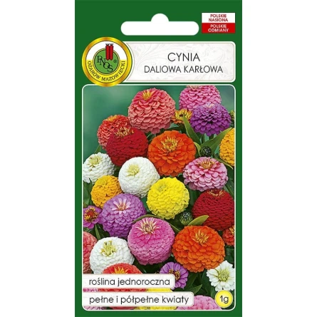 Çiçək toxumları PNOS Cynia Daliowa Karlowa, 1 q