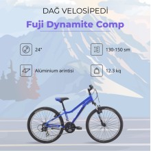 Dağ velosipedi Fuji Dynamite Comp 24