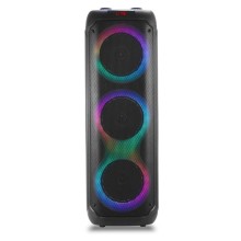 Portativ dinamik RX8301 60W 8X3 Black