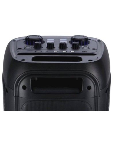 Portativ dinamik RX8301 60W 8X3 Black