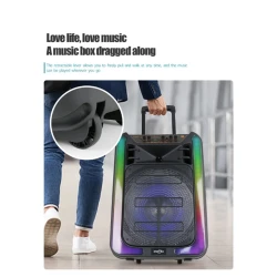 Портативная колонка Greatnice GTS 1937 15″, 2 микрофона