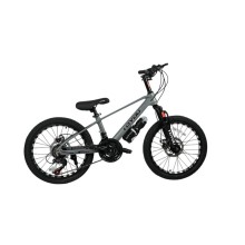 Uşaq velosipedi VeloML, 20