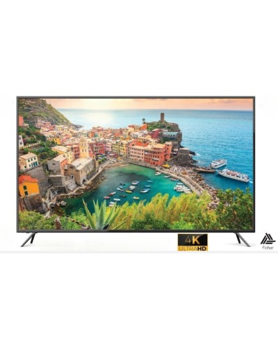 Televizor Ficher 65D20