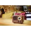 Портативная колонка MaoKing MW-2 The Little Prince Wood