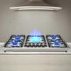 Варочная поверхность Winning Star ST-5661 Варочная поверхность Winning Star ST-5661