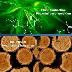 Автомобильный освежитель воздуха alloy_100, синий Автомобильный освежитель воздуха alloy_100, синий