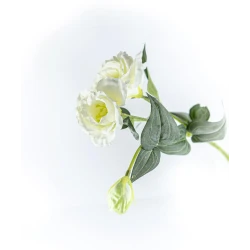Искусственный цветок Hom-me 102942 Платикодон, 70 см, белый