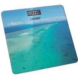 Напольные весы Cronier CR-053 Напольные весы Cronier CR-053