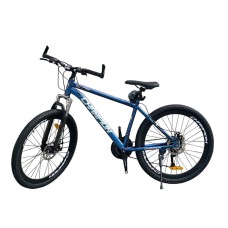 Uşaq velosipedi Champion 24, göy