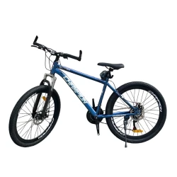 Детский велосипед Champion 24, синий