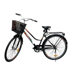 Velosiped Formula 02 28