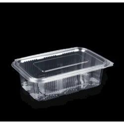 Набор одноразовых контейнеров Loyal 4368068874, полиэтилентерефталат, прозрачный, 25.5х19.3х5.4 см, 100 шт Набор одноразовых контейнеров Loyal 4368068874, полиэтилентерефталат, прозрачный, 25.5х19.3х5.4 см, 100 шт