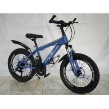 Uşaq velosipedi 20(8-11 yaş), qırmızı/qara, əlavə elementlər: su qabı, duraliminium pedal - BB-652