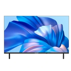 Телевизор Premier 55PRM2020USV