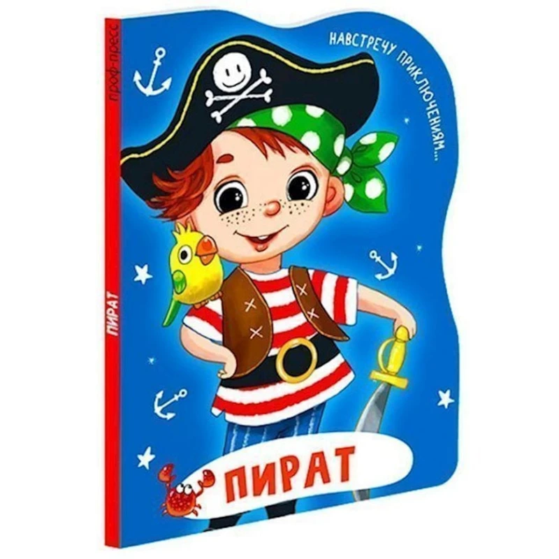 Книга Проф-Пресс Пират Анна Купырина