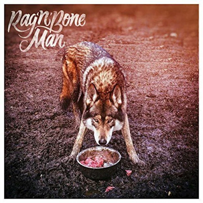 Виниловая пластинка Sony Music Rag'n'Bone Man - Wolves