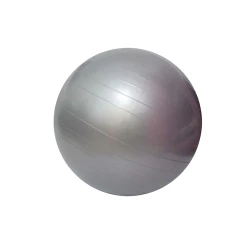 Fitnes topu Gymnic 1062 PVC, boz, 65 sm