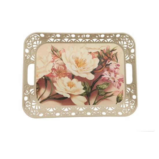 Поднос NH_SA75, пластик, разноцветный, 31x43x5 см