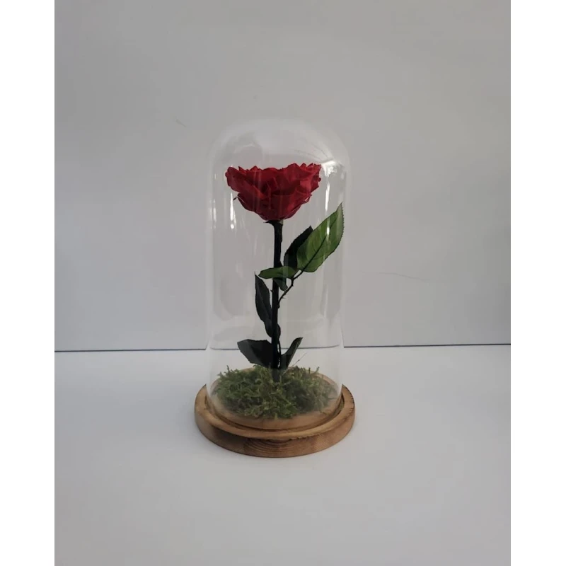 Suvenir Qırmızı qızılgül kolbada, 14x14x30 sm