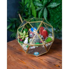 Terrarium, beşbucaq, qızılı, 25x25x22 sm