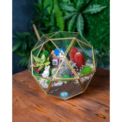 Terrarium, beşbucaq, qızılı, 25x25x22 sm Terrarium, beşbucaq, qızılı, 25x25x22 sm