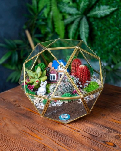 Terrarium, beşbucaq, qızılı, 25x25x22 sm