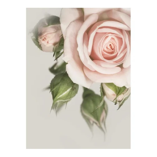 Алмазная мозаика Роза, 20х30 см