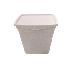 Контейнер для стирального порошка Lemon OP-AZ6, 23x19x24 см, розовый