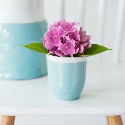 Жидкая глазурь Botz 9527 Lagoon лагуна 200 мл