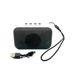 Portativ dinamik A011 Black