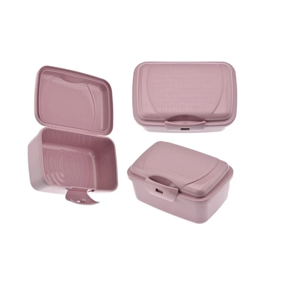 Lanç-boks 010000500, 350 ml, məhsul çeşiddə Lanç-boks 010000500, 350 ml, məhsul çeşiddə