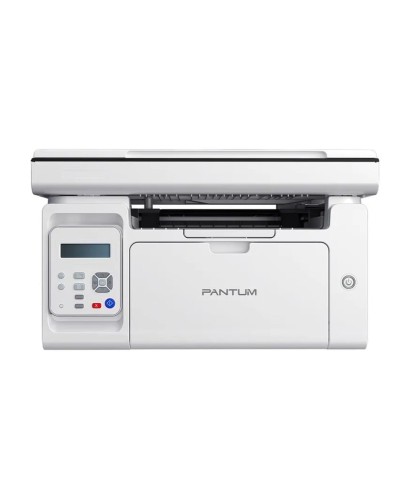 CFQ Pantum M6507, ağ