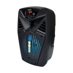 Portativ dinamik GTS GTS-1187