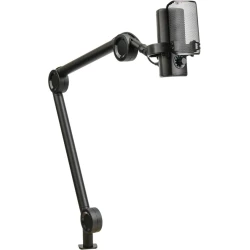 Mikrofon Aiwa PDMA-10