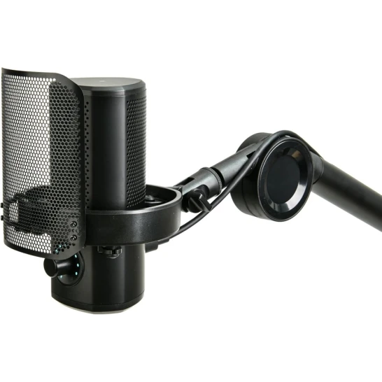 Микрофон Aiwa PDMA-10 Микрофон Aiwa PDMA-10