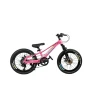 Детский велосипед GTR025, 20