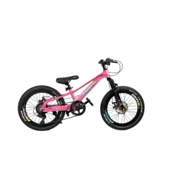 Детский велосипед GTR025, 20