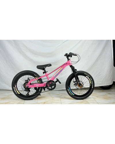 Uşaq velosipedi GTR025, 20