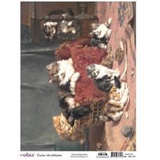 Dekupaj üçün düyü kağızı Cadence A3 Animals Collection DK-07 30x42 sm