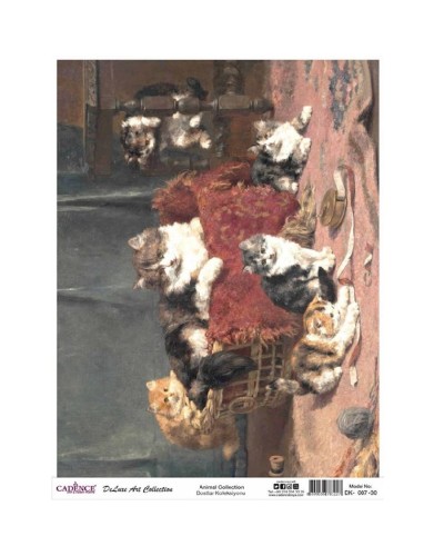 Dekupaj üçün düyü kağızı Cadence A3 Animals Collection DK-07 30x42 sm