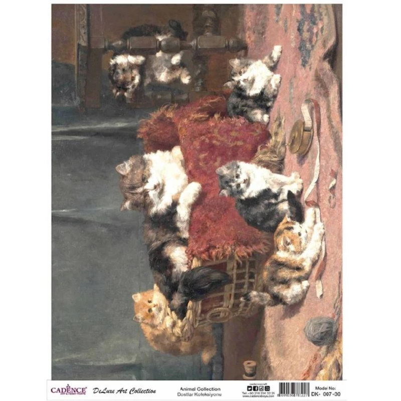 Dekupaj üçün düyü kağızı Cadence A3 Animals Collection DK-07 30x42 sm