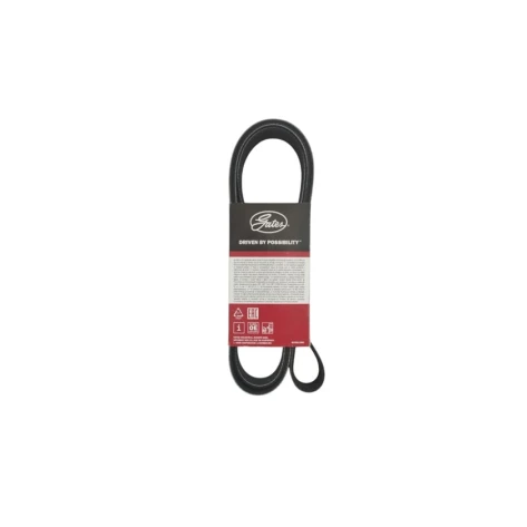 Ремень Chevrolet Lacetti 1.6 Dinamo