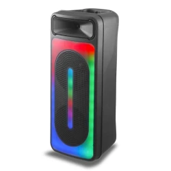 Portativ dinamik RX8255 20W 8 Black