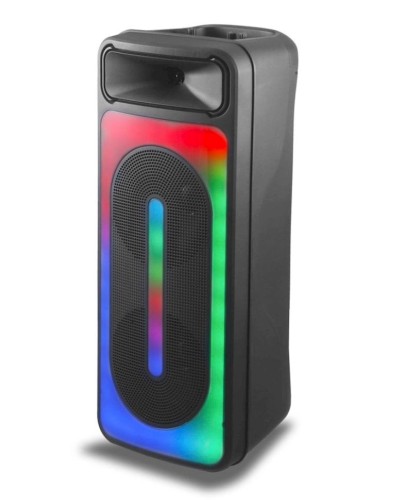 Portativ dinamik RX8255 20W 8 Black