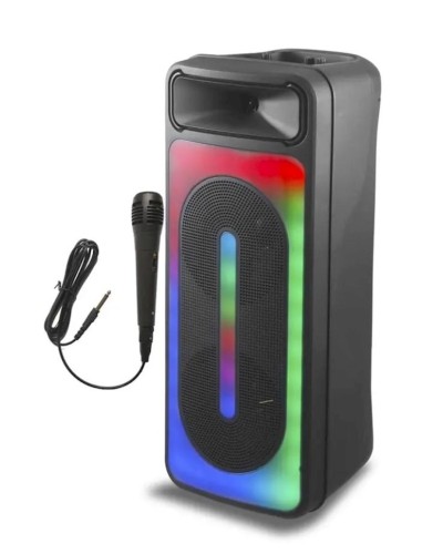 Portativ dinamik RX8255 20W 8 Black