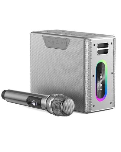 Portativ dinamik Wiwu P19 Silver
