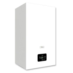 Комби Ferroli Diva D F24 M