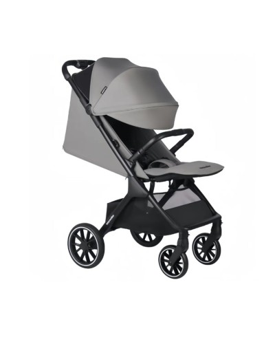 Uşaq arabası Easywalker Jackey² XL EJA22003 Agave yaşıl